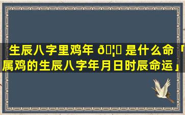 生辰八字里鸡年 🦈 是什么命「属鸡的生辰八字年月日时辰命运」